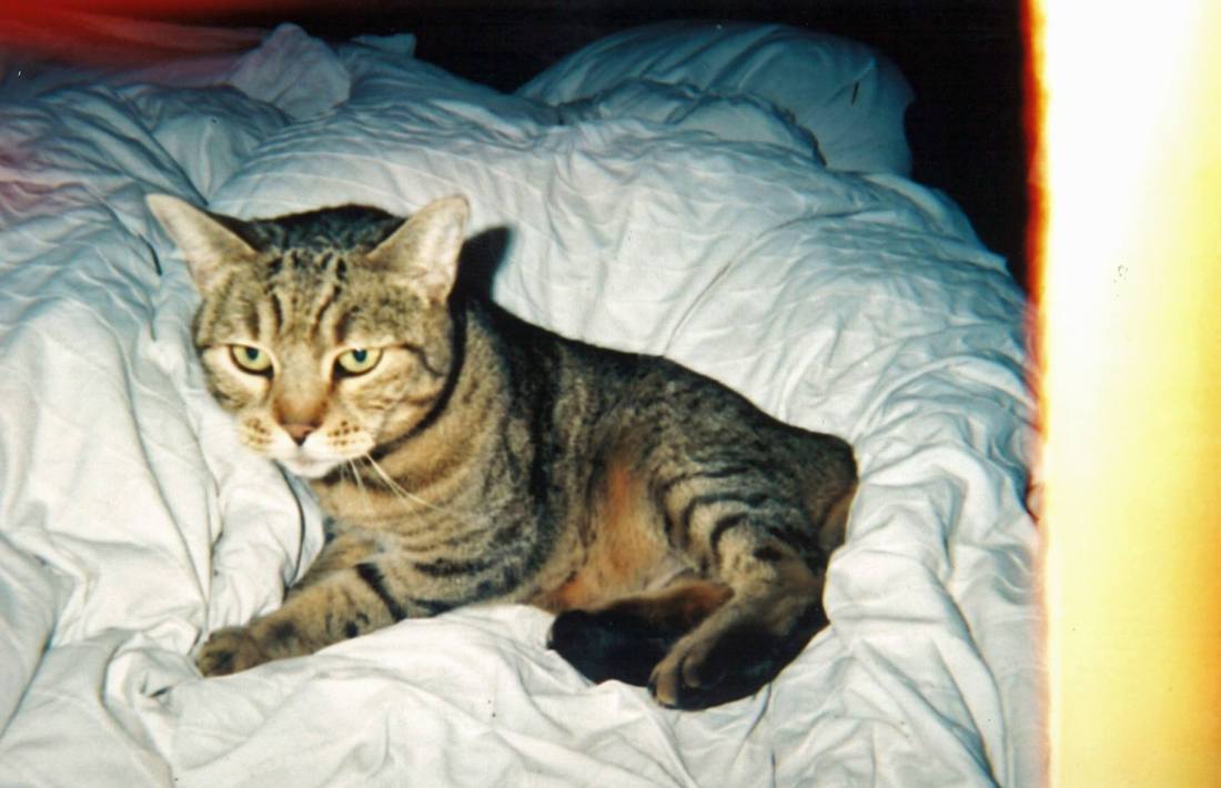 12711084_10208483033017532_4685065575825143496_o