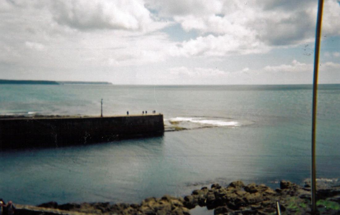 13668844_10209984382990343_4890126664015038575_o