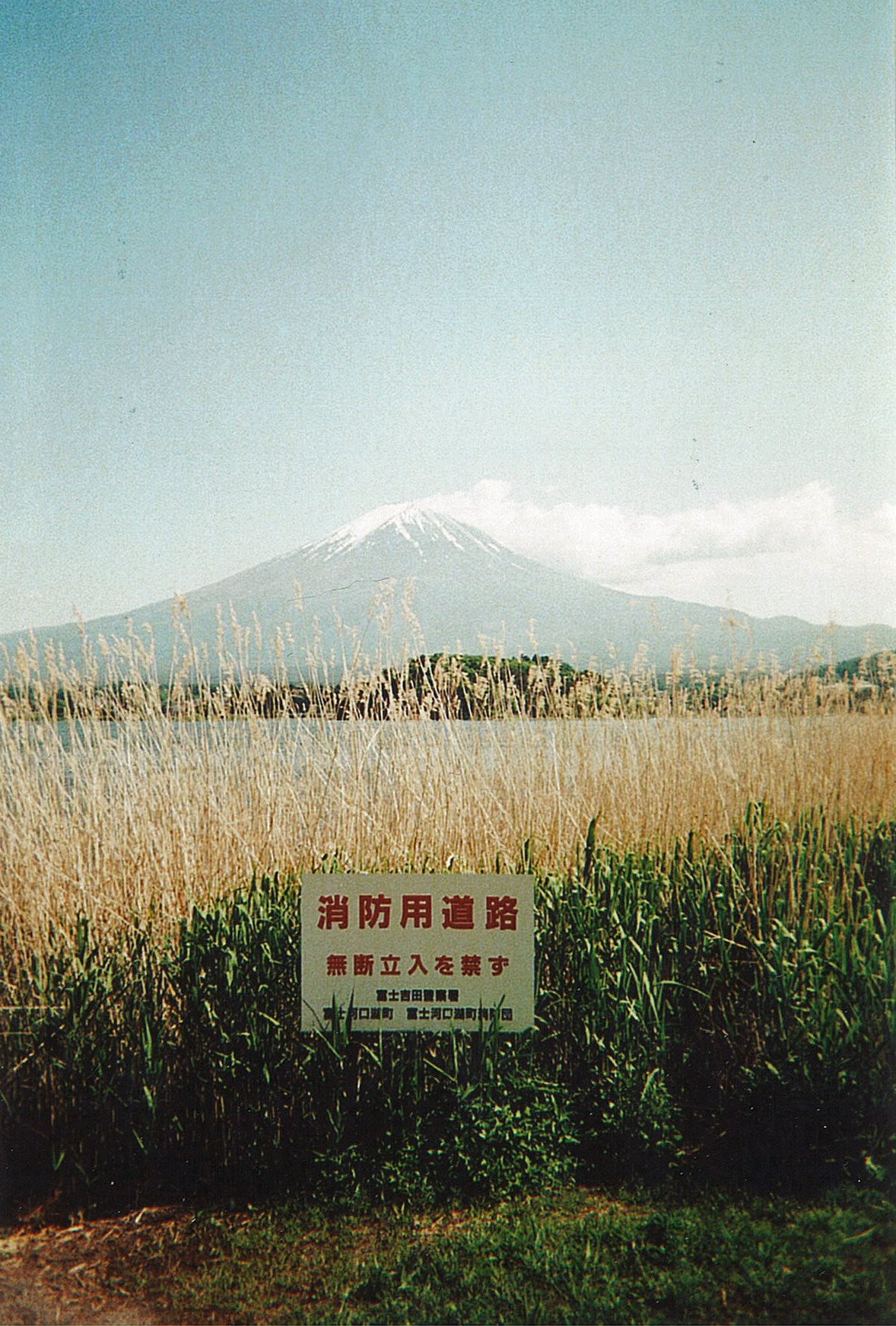 33812634_10216171304899524_6322924005607079936_o