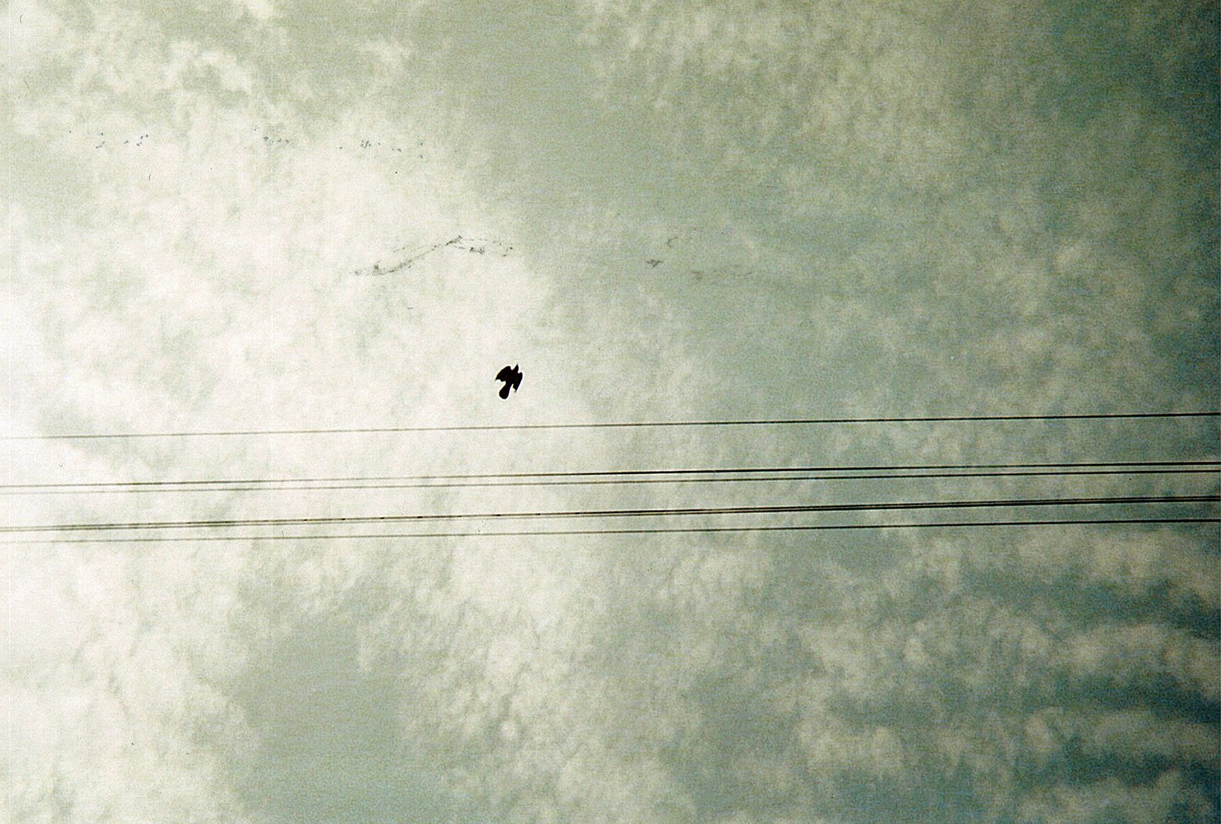 33816501_10216171301219432_7405109975829184512_o