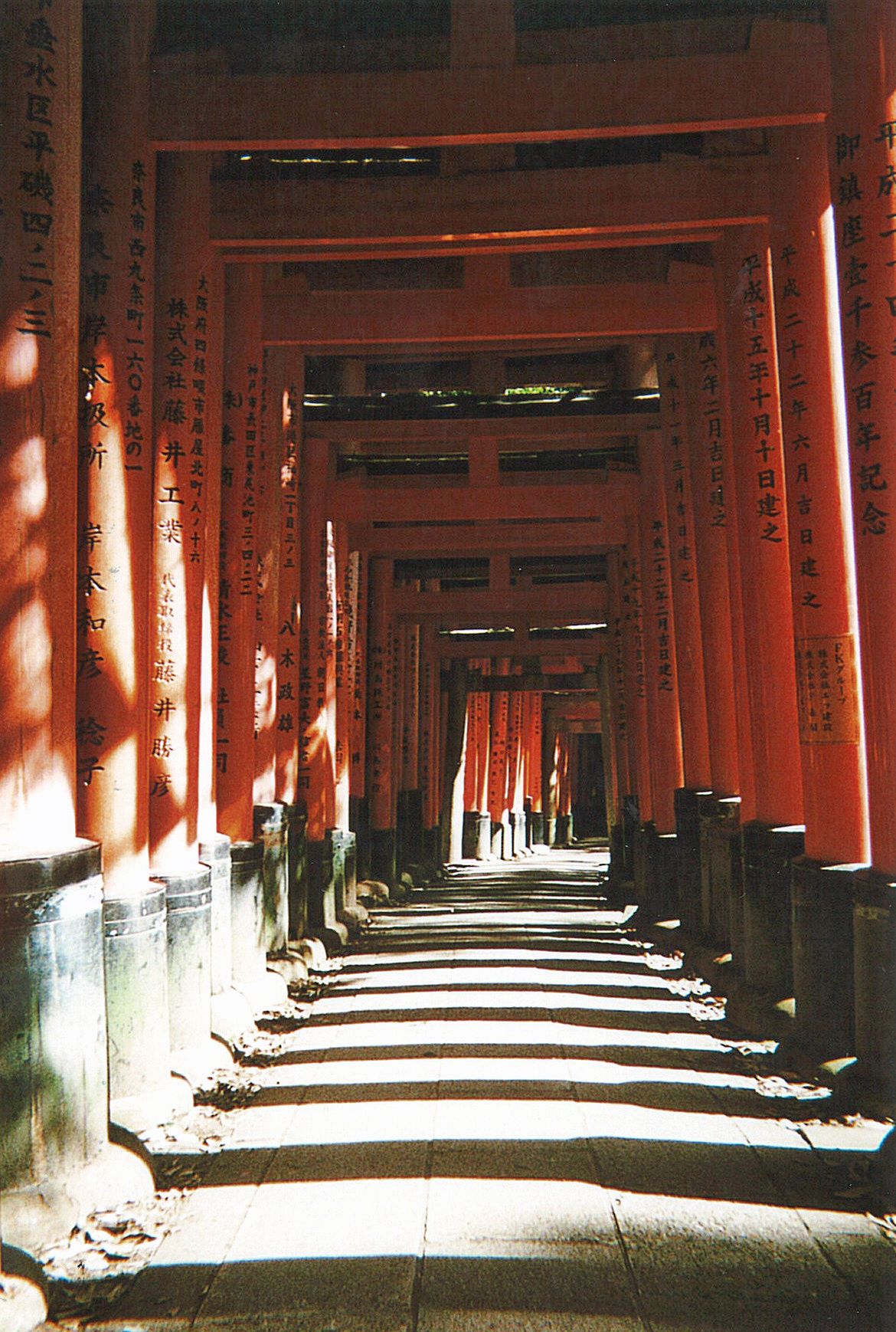 33869026_10216171297859348_2201228755618234368_o